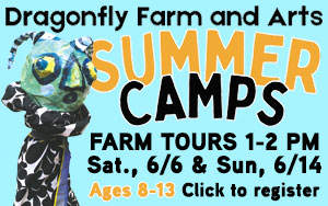 Dragonfly Farm and Arts Summer Camps
