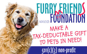 Sisters Furry Friends Foundation